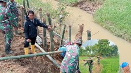 Anggota Koramil Tambakromo berjibaku perbaiki tanggul jebol sungai Kedung Lumbung. (Dok Ist)