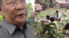 Foto: Kiri, Warsit anggota DPRD Blora, dan lokasi penebangan pohon tumbang milik Perhutani. (Dok. Ist)