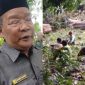 Foto: Kiri, Warsit anggota DPRD Blora, dan lokasi penebangan pohon tumbang milik Perhutani. (Dok. Ist)