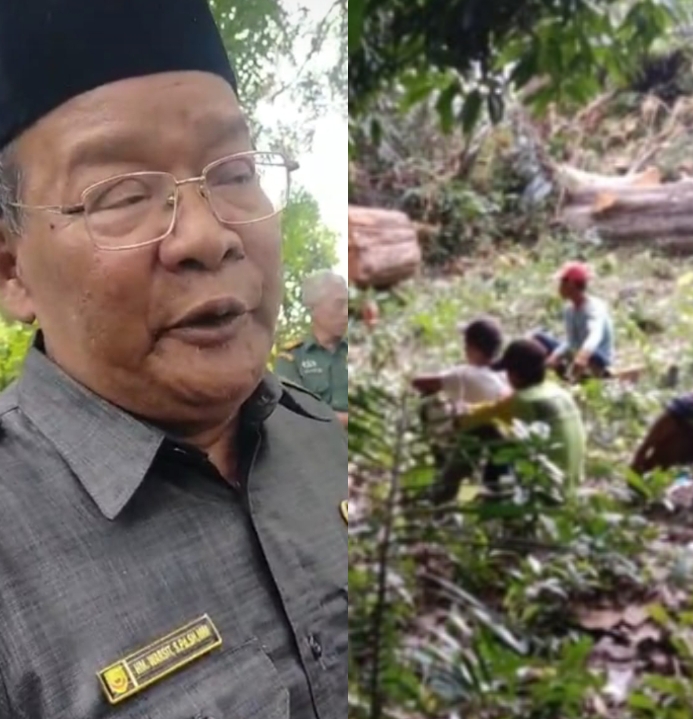 Foto: Kiri, Warsit anggota DPRD Blora, dan lokasi penebangan pohon tumbang milik Perhutani. (Dok. Ist)
