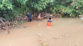 Foto: Pencarian Sudjatmin, seorang lansia yang diduga tenggelam di sungai. Dari mulai BPBD Kudus, Polsek dan Koramil, hingga Squad Macan Tutul Korwil Gebog turut melakukan pencarian. (Foto:Fzn)