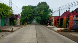 Foto: Jalan Randublatung-Jati, Kab. Blora, pagi hari. Rabu (5/2/2025).