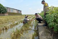 Foto: Petugas Polsek Karangtengah, saat memberikan bantuan sosial kepada buruh tani di sawah.