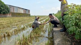 Foto: Petugas Polsek Karangtengah, saat memberikan bantuan sosial kepada buruh tani di sawah.