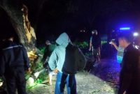 Foto: Pohon tumbang di Jalan Raya Jati-Randublatung, mengakibatkan kemacetan.