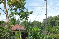 Lokasi foto: Kp Maja, Desa Cikeusal, Kecamatan Bantar Panjang, Kabupaten Serang, Banten.