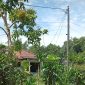 Lokasi foto: Kp Maja, Desa Cikeusal, Kecamatan Bantar Panjang, Kabupaten Serang, Banten.