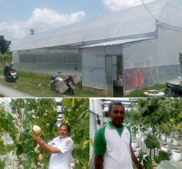 Dari kiri, Suwoto Kades Plosoharjo, Marwoto petani penggarap screen house.