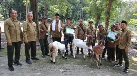 KPH Telawa saat memberikan kambing kepada mandor berprestasi.