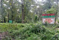 Kondisi Taman Desa Wisata Kedung Jotos Desa Ngliron, Kec. Randublatung, Kabupaten Blora, nampak dipenuhi rumput liar.