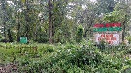 Kondisi Taman Desa Wisata Kedung Jotos Desa Ngliron, Kec. Randublatung, Kabupaten Blora, nampak dipenuhi rumput liar.