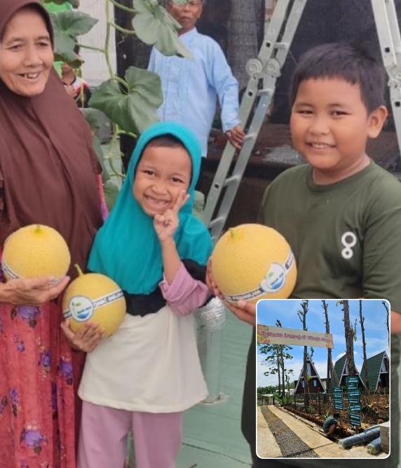 Kolase foto: Warga saat berkunjung di Kebun Buah Village Farm P4S Joyo Tentrem.