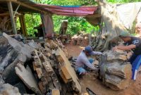 Perajin kayu tunggak jati desa Ngliron, Kecamatan Randublatung, Kabupaten Blora.