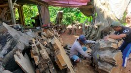 Perajin kayu tunggak jati desa Ngliron, Kecamatan Randublatung, Kabupaten Blora.