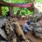 Perajin kayu tunggak jati desa Ngliron, Kecamatan Randublatung, Kabupaten Blora.