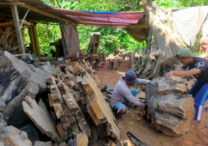 Perajin kayu tunggak jati desa Ngliron, Kecamatan Randublatung, Kabupaten Blora.