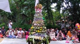 Acara tradisi sedekah bumi desa Kalirejo, Kec. Wirosari, Kab. Grobogan. Nampak gunungan hasil bumi dipersembahkan ditengah-ditengah warga masyarakat setempat.