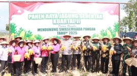 Polres Blora saat panen raya jagung. Nampak Kapolres Blora AKBP Wawan Andi Susanto, ikut memanen.