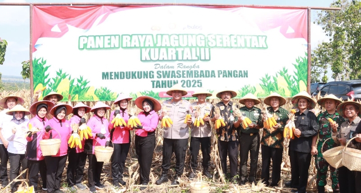 Polres Blora saat panen raya jagung. Nampak Kapolres Blora AKBP Wawan Andi Susanto, ikut memanen.