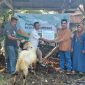 Perhutani KPH Telawa saat menyerahkan bantuan hewan qurban.