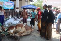 Suasana penyembelihan hewan kurban di halaman Masjid Mapolres Demak.