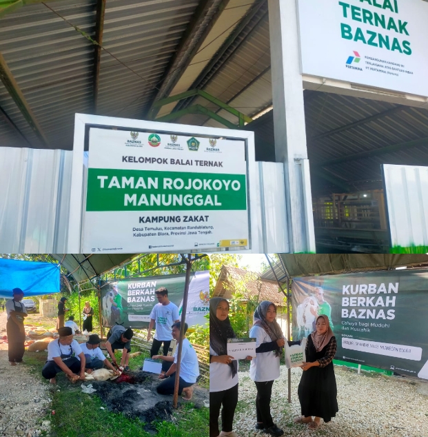 BAZNAS Kabupaten Blora, saat melakukan penyembelihan hewan kurban di Balai Ternak Taman Rojokoyo Manunggal Desa Temulus, Kec. Randublatung.