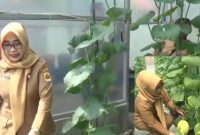 Kades Geyer, Hj Sri Budiyati bersama perangkat desa, saat mendatangi green house buah melon.