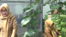 Kades Geyer, Hj Sri Budiyati bersama perangkat desa, saat mendatangi green house buah melon.