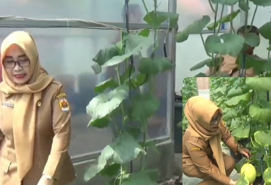 Kades Geyer, Hj Sri Budiyati bersama perangkat desa, saat mendatangi green house buah melon.