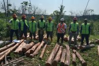 Perhutani KPH Telawa, saat inspeksi Penggunaan Alat Pelindung Diri (APD) di lokasi tebangan pada Rabu (02/07/2025)