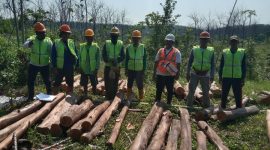 Perhutani KPH Telawa, saat inspeksi Penggunaan Alat Pelindung Diri (APD) di lokasi tebangan pada Rabu (02/07/2025)