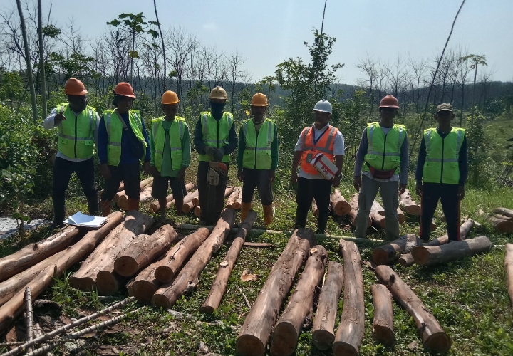 Perhutani KPH Telawa, saat inspeksi Penggunaan Alat Pelindung Diri (APD) di lokasi tebangan pada Rabu (02/07/2025)