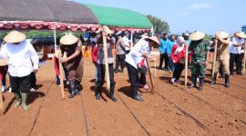 Kapolres Jepara, bersama Forkopimda Jepara tanam jagung bersama petani.