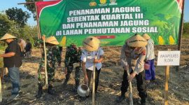 Polres Blora bersama Forkopimda Blora tanam jagung bersama petani.