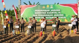 Perhutani KPH Semarang bersama Kapolres Semarang, saat Penanaman Jagung Serentak Kuartal III di Desa Candirejo, Kecamatan Pringapus, Kabupaten Semarang, Rabu (09/07/2025).