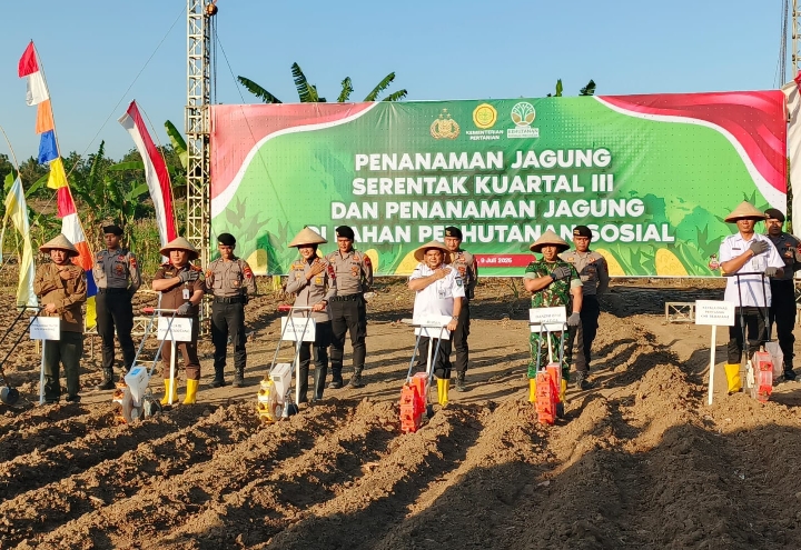Perhutani KPH Semarang bersama Kapolres Semarang, saat Penanaman Jagung Serentak Kuartal III di Desa Candirejo, Kecamatan Pringapus, Kabupaten Semarang, Rabu (09/07/2025).