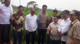 Kepala BP Taskin Budiman Sudjatmiko, saat meresmikan gerakan kolaboratif fokus lingkungan pesantren.