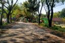 Foto: Jalan Cepu-Randublatung, Kabupaten Blora.