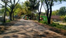 Foto: Jalan Cepu-Randublatung, Kabupaten Blora.