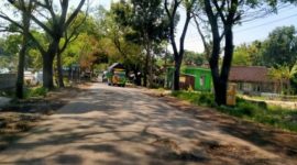 Foto: Jalan Cepu-Randublatung, Kabupaten Blora.