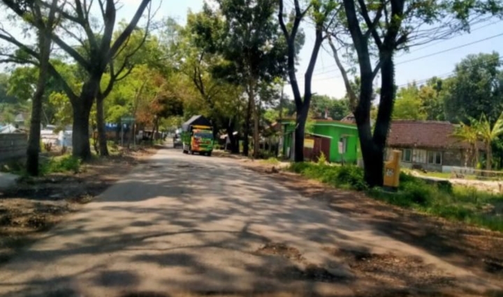 Foto: Jalan Cepu-Randublatung, Kabupaten Blora.