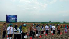 Menteri Desa PDTT bersama Bupati Blora dan jajarannya saat menanam jagung secara simbolis.
