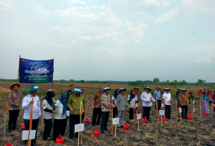 Menteri Desa PDTT bersama Bupati Blora dan jajarannya saat menanam jagung secara simbolis.