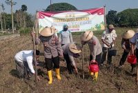 Wakapolres bersama jajarannya, saat menanam jagung di lahan ponpes Darul Faqih.