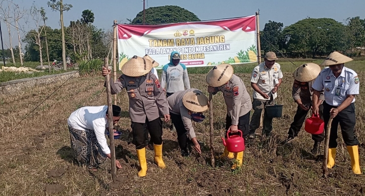 Wakapolres bersama jajarannya, saat menanam jagung di lahan ponpes Darul Faqih.