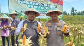 Kapolres Grobogan AKBP Ike Yulianto, bersama Administratur Purwodadi, Untoro Tri Kurniawan, saat memanen jagung program ketahanan pangan.