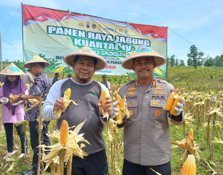 Kapolres Grobogan AKBP Ike Yulianto, bersama Administratur Purwodadi, Untoro Tri Kurniawan, saat memanen jagung program ketahanan pangan.