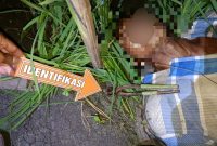 Foto: Korban meninggal dunia tersengat aliran listrik jebakan tikus.