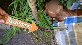 Foto: Korban meninggal dunia tersengat aliran listrik jebakan tikus.