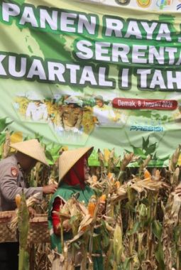 berita-rekomendasi-foto